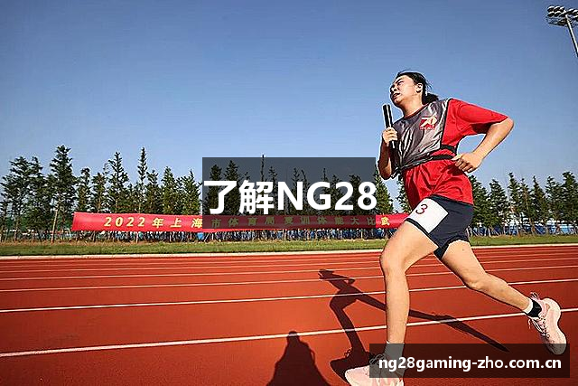 了解NG28